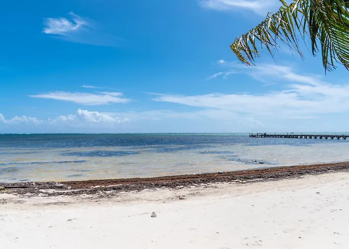 Residences At Barrier Reef Unit 5b Oceanview 2 Bedroom By Floreo San Pedro (Ambergris Caye)