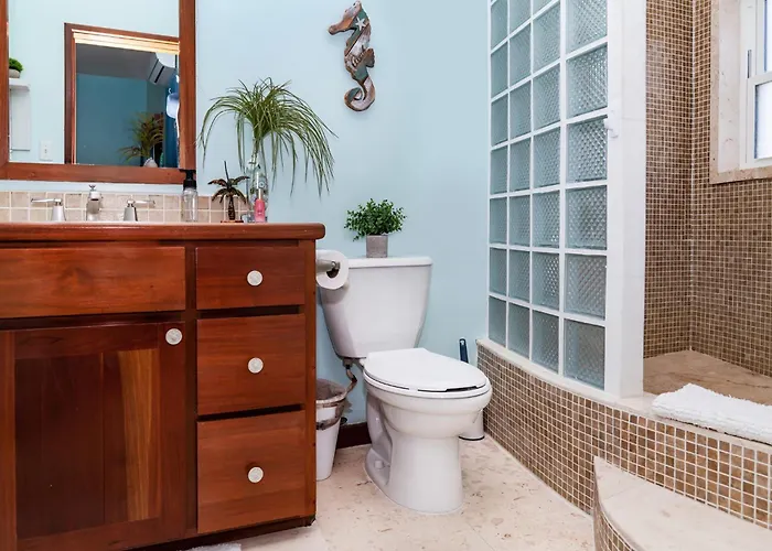 Residences At Barrier Reef Unit 5b Oceanview 2 Bedroom By Floreo San Pedro (Ambergris Caye)