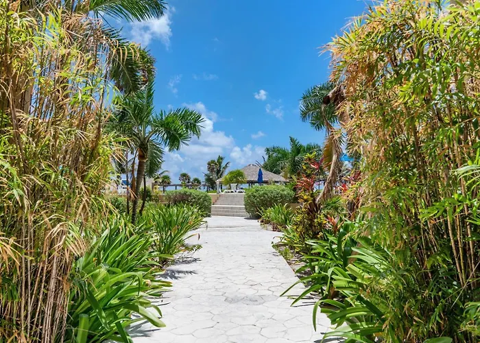 Residences At Barrier Reef Unit 5b Oceanview 2 Bedroom By Floreo * San Pedro (Ambergris Caye)